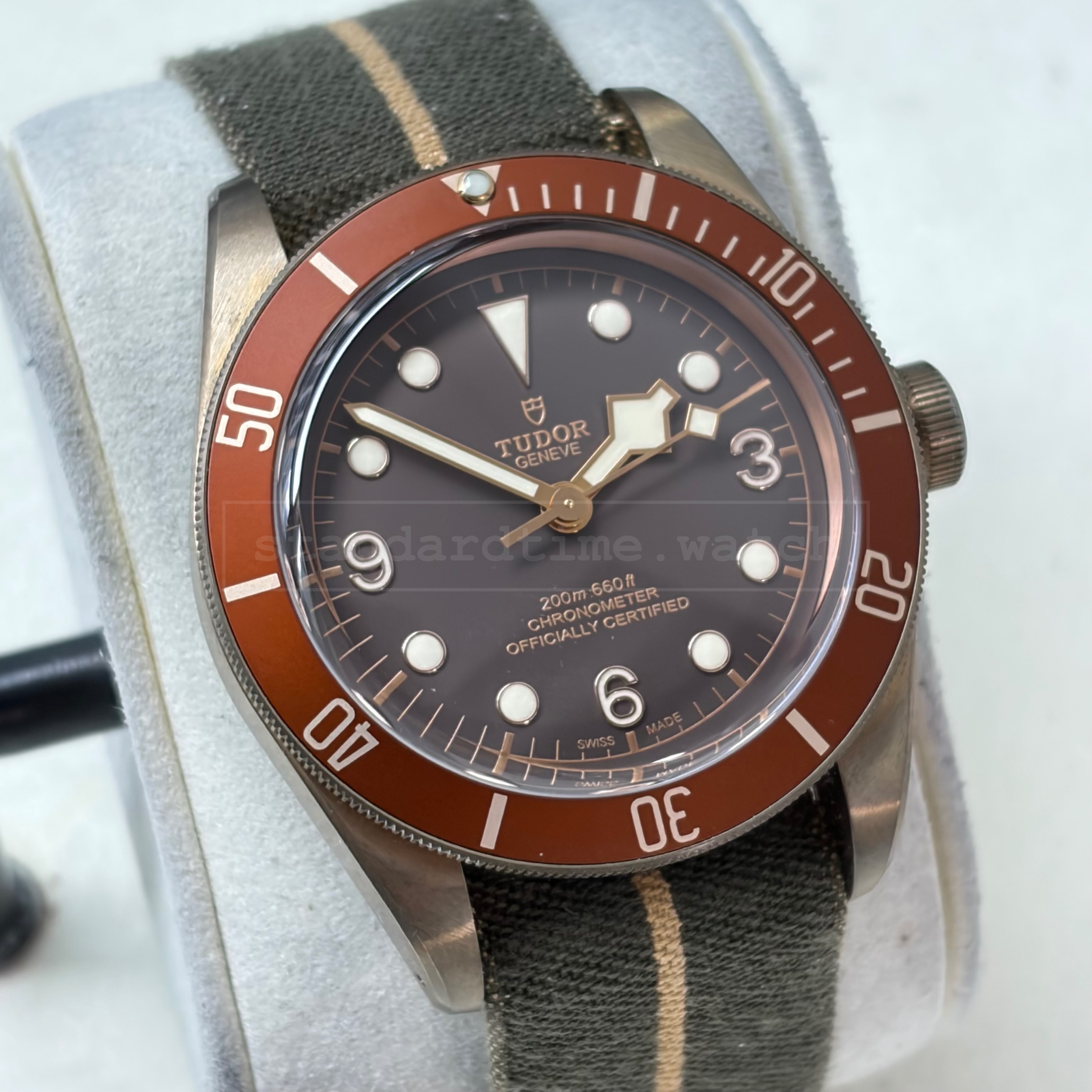 [FS] Tudor Black Bay Bronze Heritage Full Set Bronze 79250B  Ref. 79250BM image 2